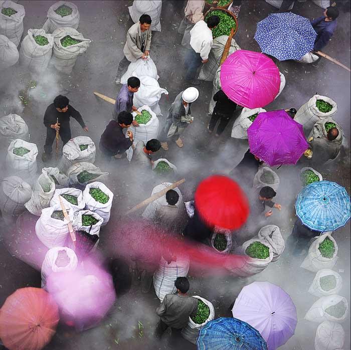 �F���h�� 