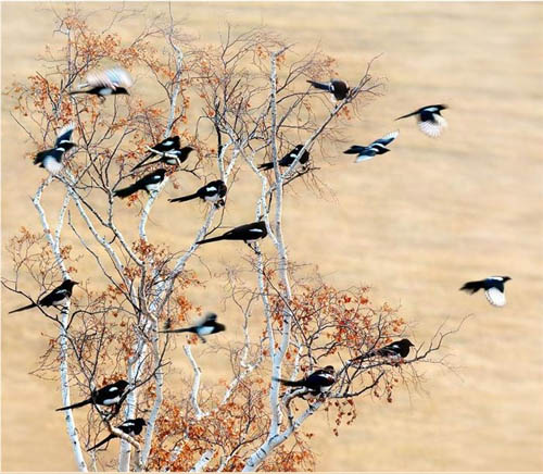 �݈�(b��o)�l��