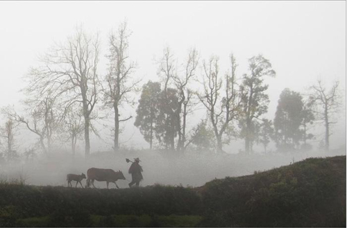 ����ꐴ����F����