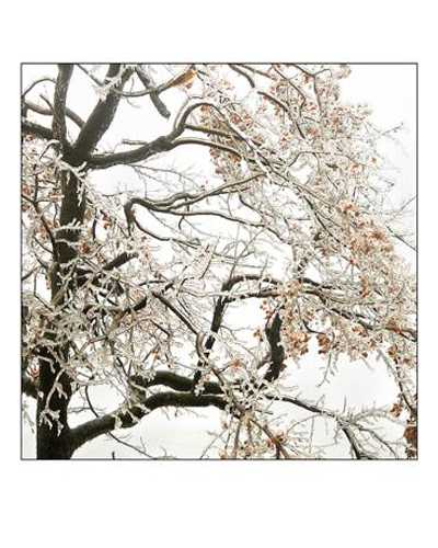 �����(sh��)�����(sh��)