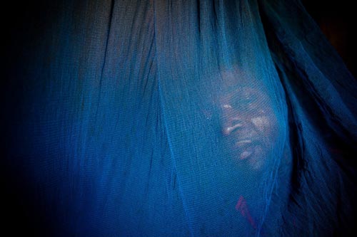 �{(l��n)ɫ����