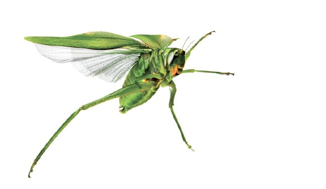 Ұ������ 