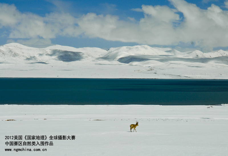 ����ɽ�_(d��)�ࡷ