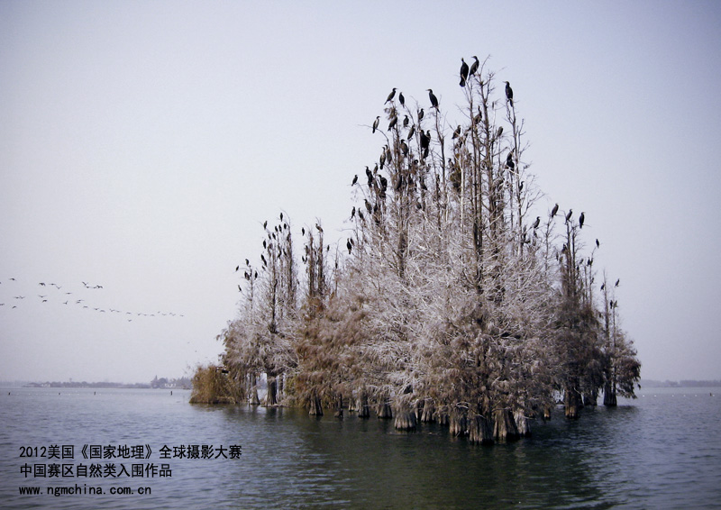 ���B�����á�