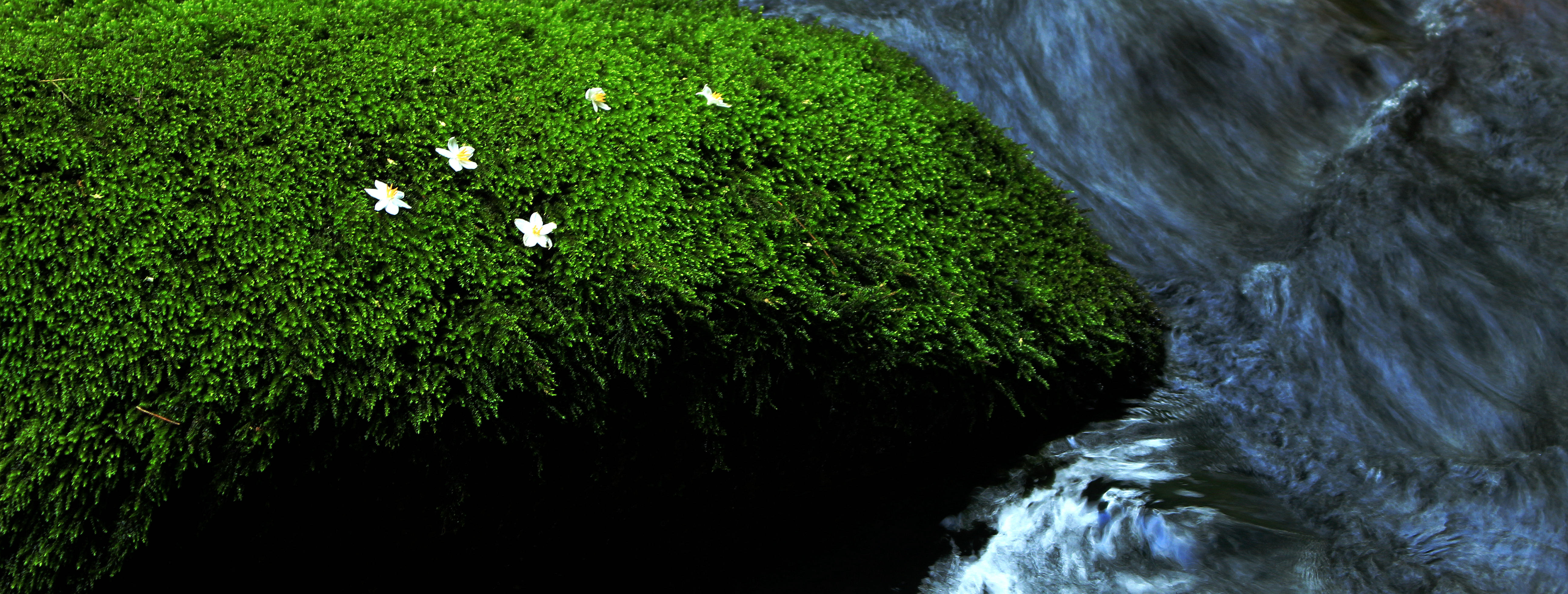 ������'����