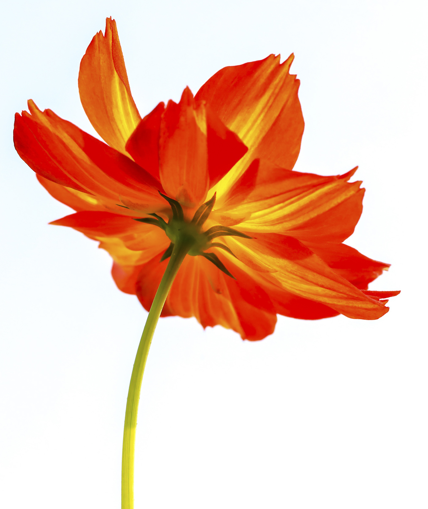 ���L(f��ng)��Ӱ