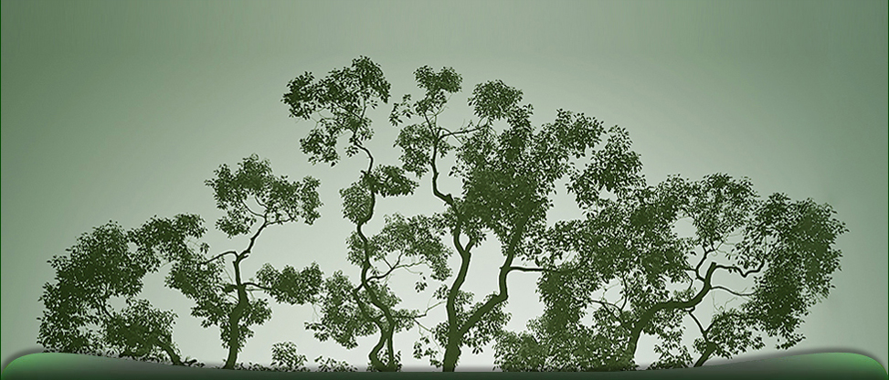 �{(di��o)̩��'����