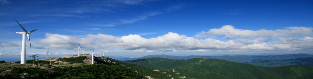 �Ʋ���'����